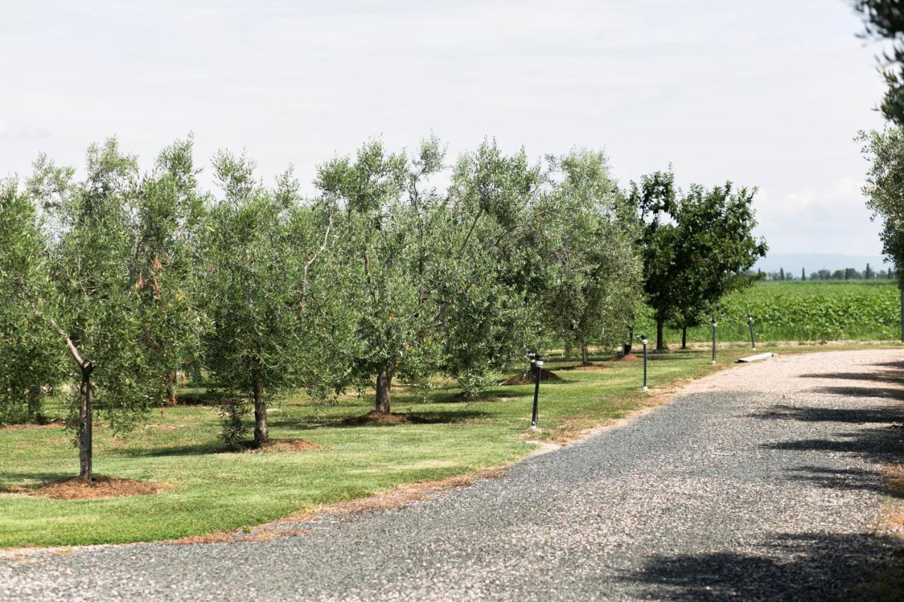 Agriturismo Valdo Grosseto Ngoại thất bức ảnh
