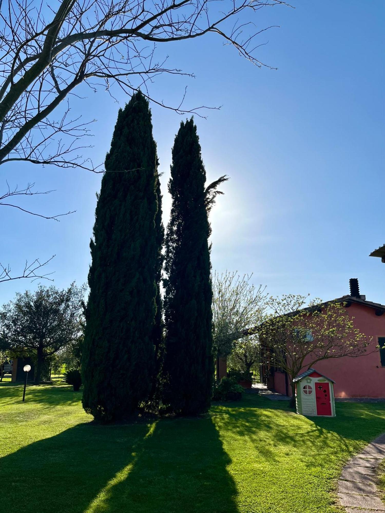 Agriturismo Valdo Grosseto Ngoại thất bức ảnh