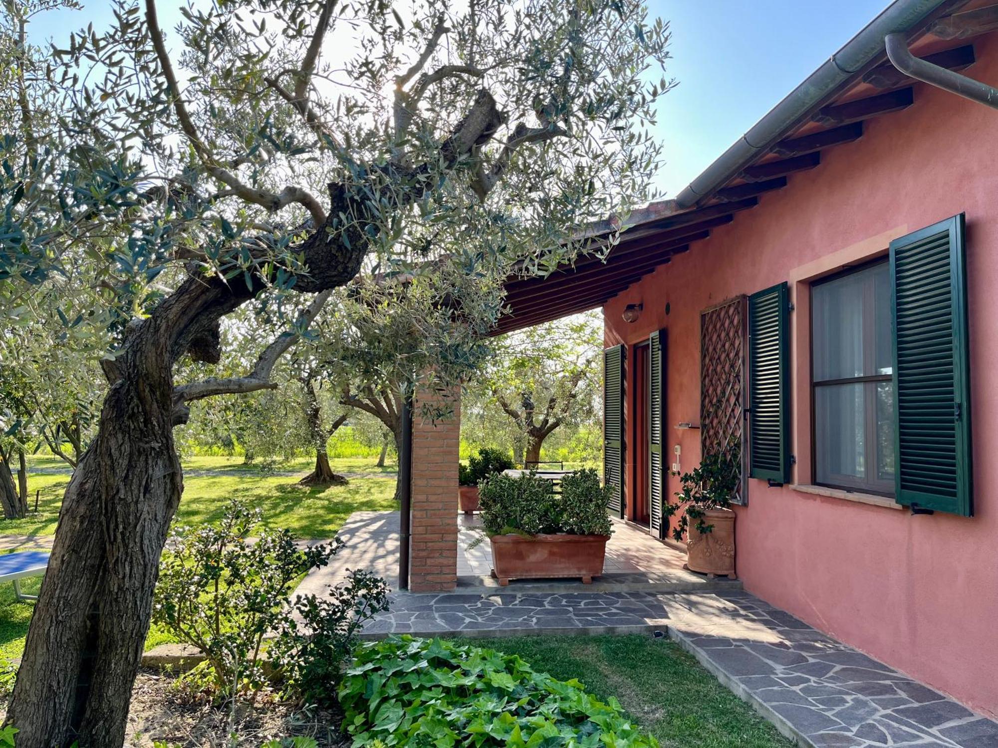 Agriturismo Valdo Grosseto Ngoại thất bức ảnh