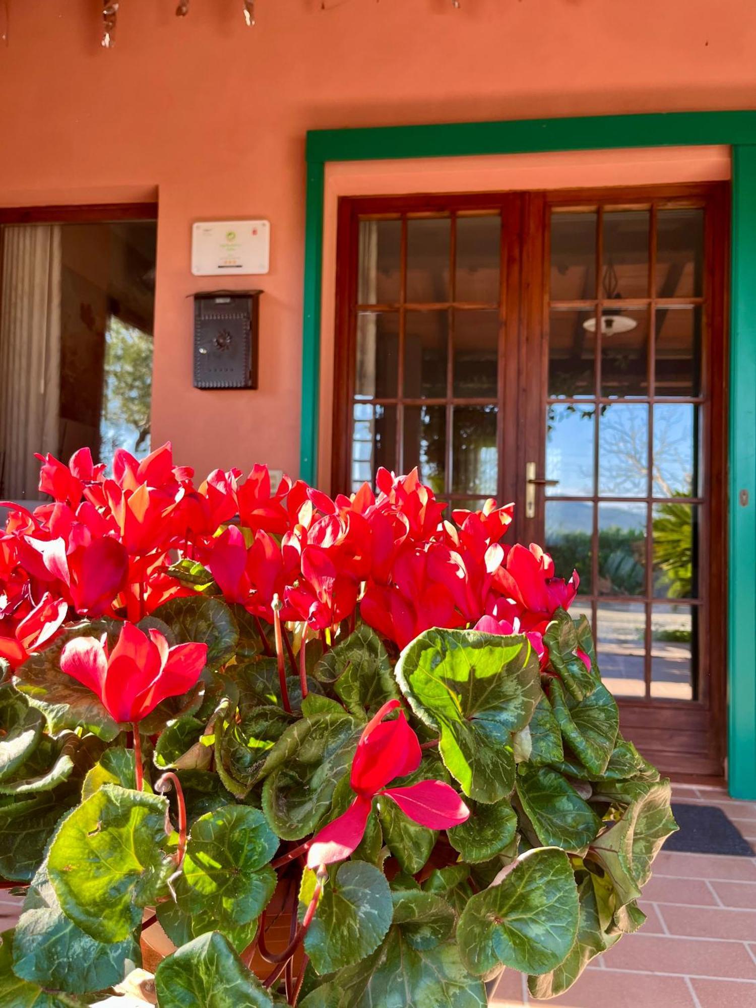 Agriturismo Valdo Grosseto Ngoại thất bức ảnh